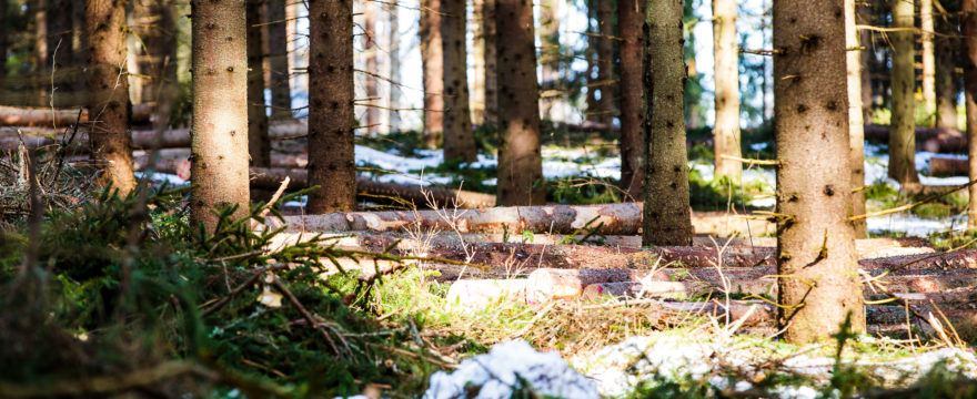 Toimintakertomus vuodelta 2018 julkaistu