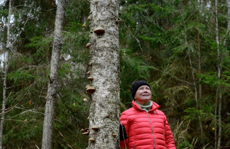 Metsävuoden ympäristöpalkinnot Oiva Luukkoselle sekä Raija ja Ossi Tuuliaisen säätiölle — näyttävät hyvää esimerkkiä muille