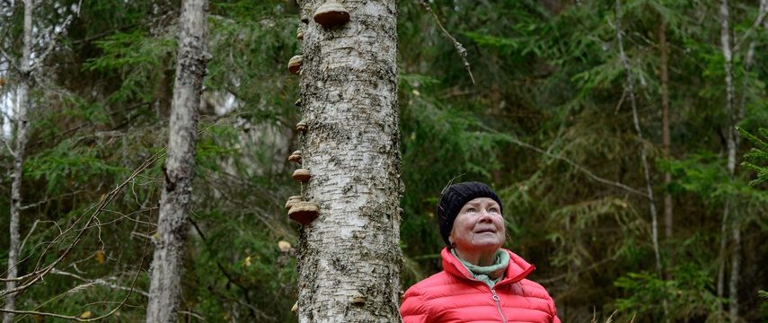 Metsävuoden ympäristöpalkinnot Oiva Luukkoselle sekä Raija ja Ossi Tuuliaisen säätiölle — näyttävät hyvää esimerkkiä muille