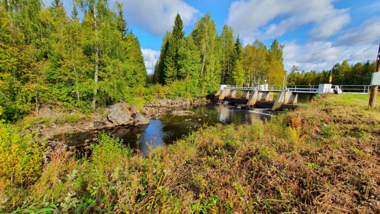 Saramojoki vapautuu vaelluskaloille ja virkistyskäyttöön